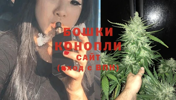 сатива Лысьва