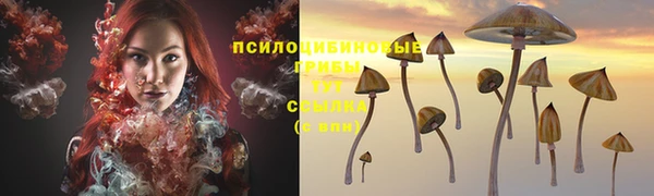 меф Янаул