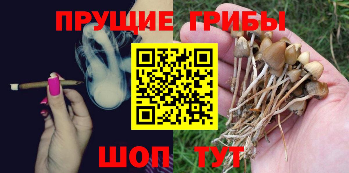 Галлюциногенные грибы мицелий Осинники