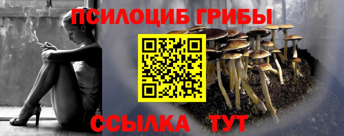 Псилоцибиновые грибы ЛСД  Вход с VPN  Осинники  Галлюциногенные грибы MAGIC MUSHROOMS 
