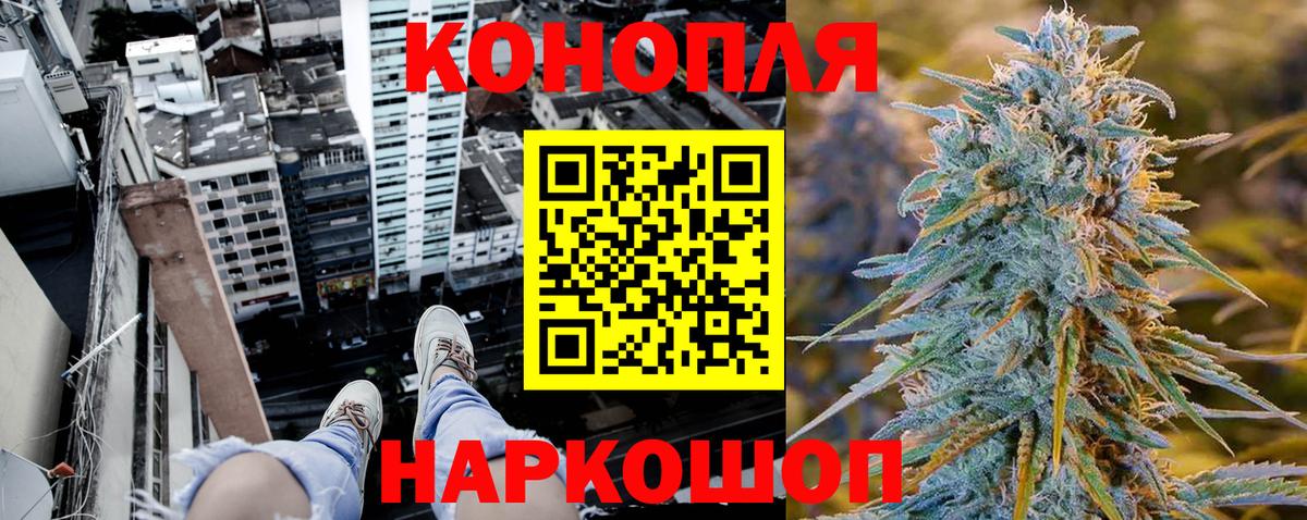 Канабис гибрид Осинники